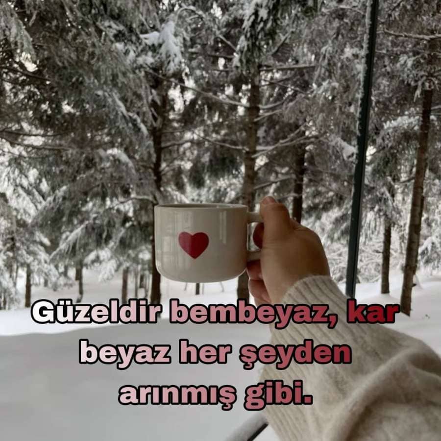 Etkileyici Kar Sözleri