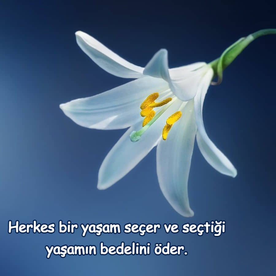 Etkileyici Sözler