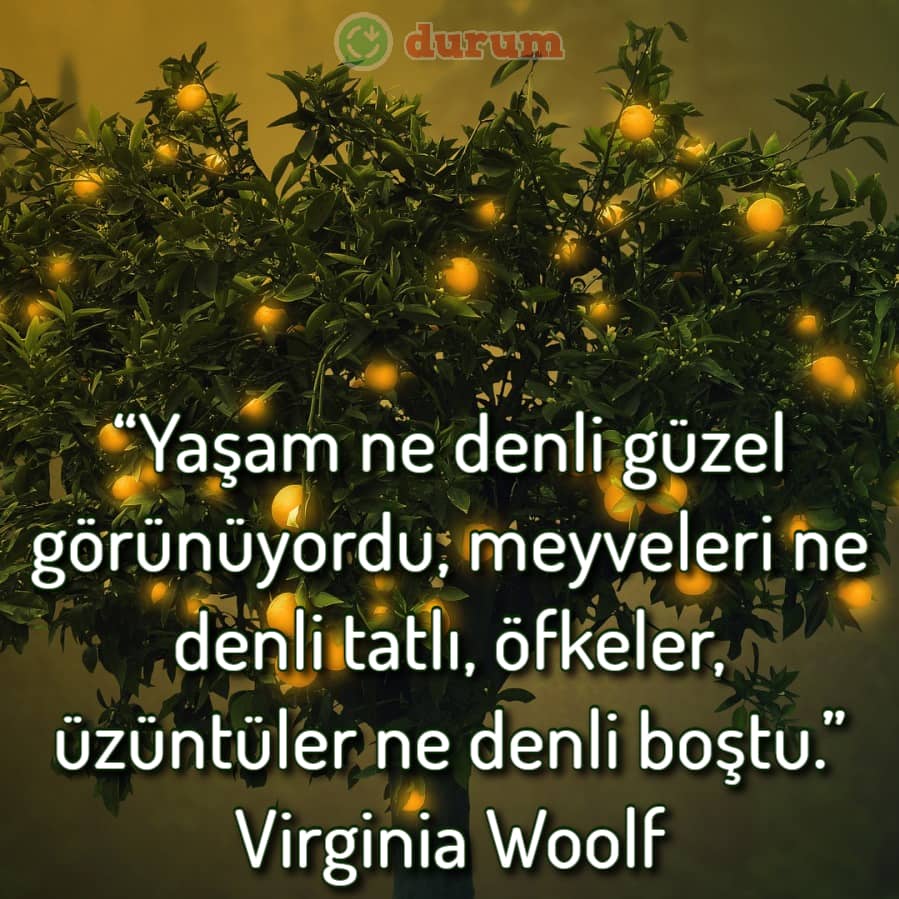 Farklı meyve ile ilgili sözler