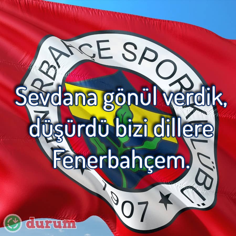 Fenerbahçe taraftarlari