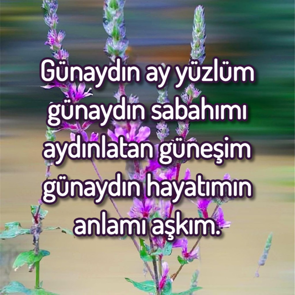 günaydın sevgilim