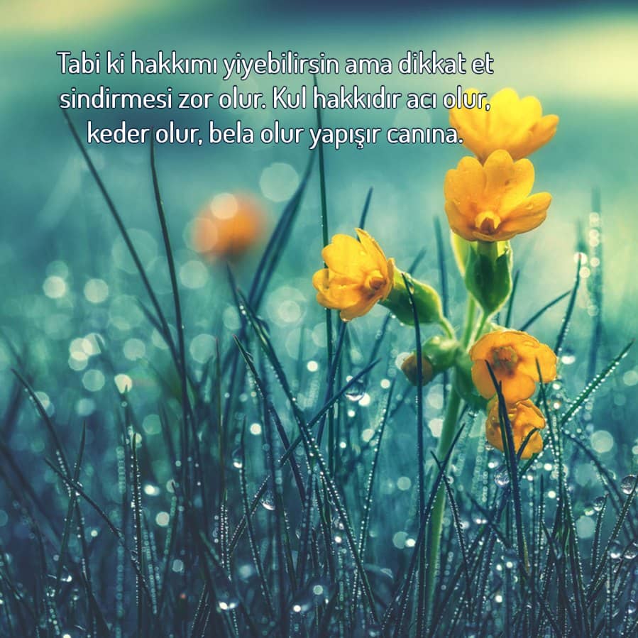 Güncel Kul Hakkı Sözleri