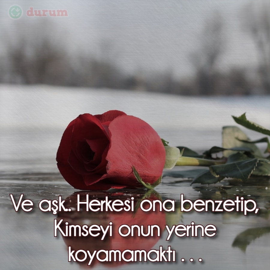 Güz Aşk resmi