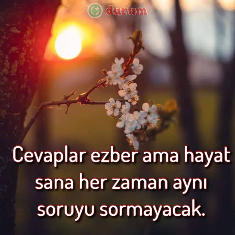 Güzel Instagram İltifat Yorumları 