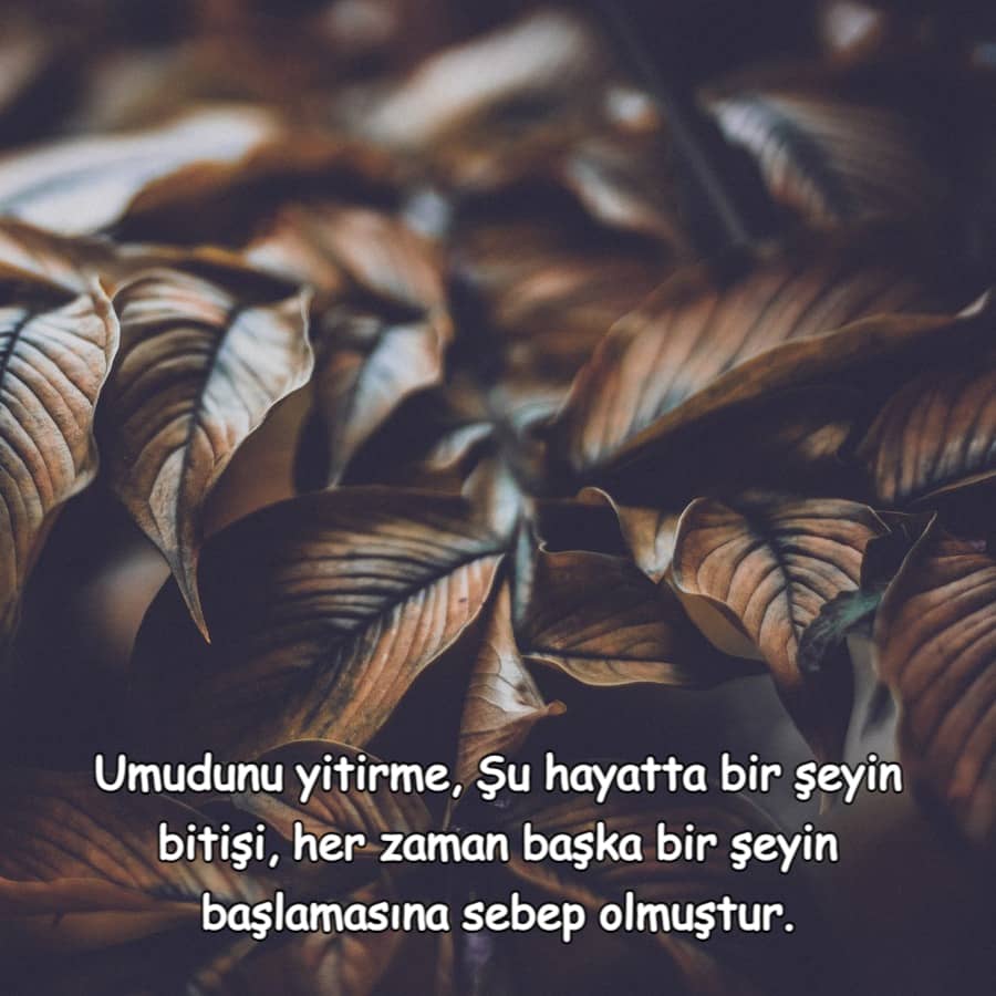 Güzel sözler durum için