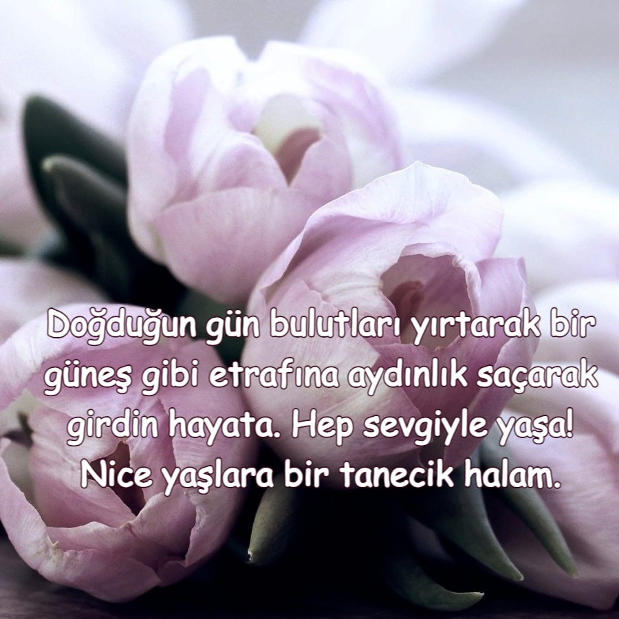 Halaya Doğum Günü Mesajları