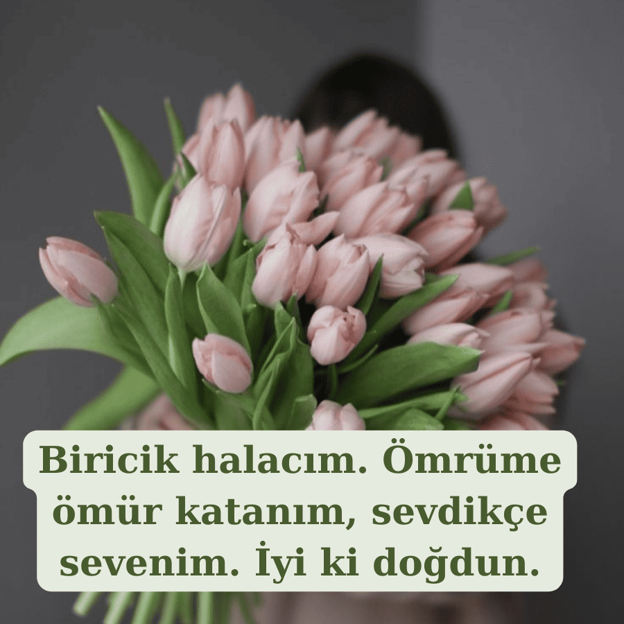 Halaya Özel Sözler