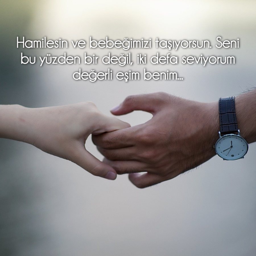 Hamilesin ve bebeğimizi taşıyorsun.