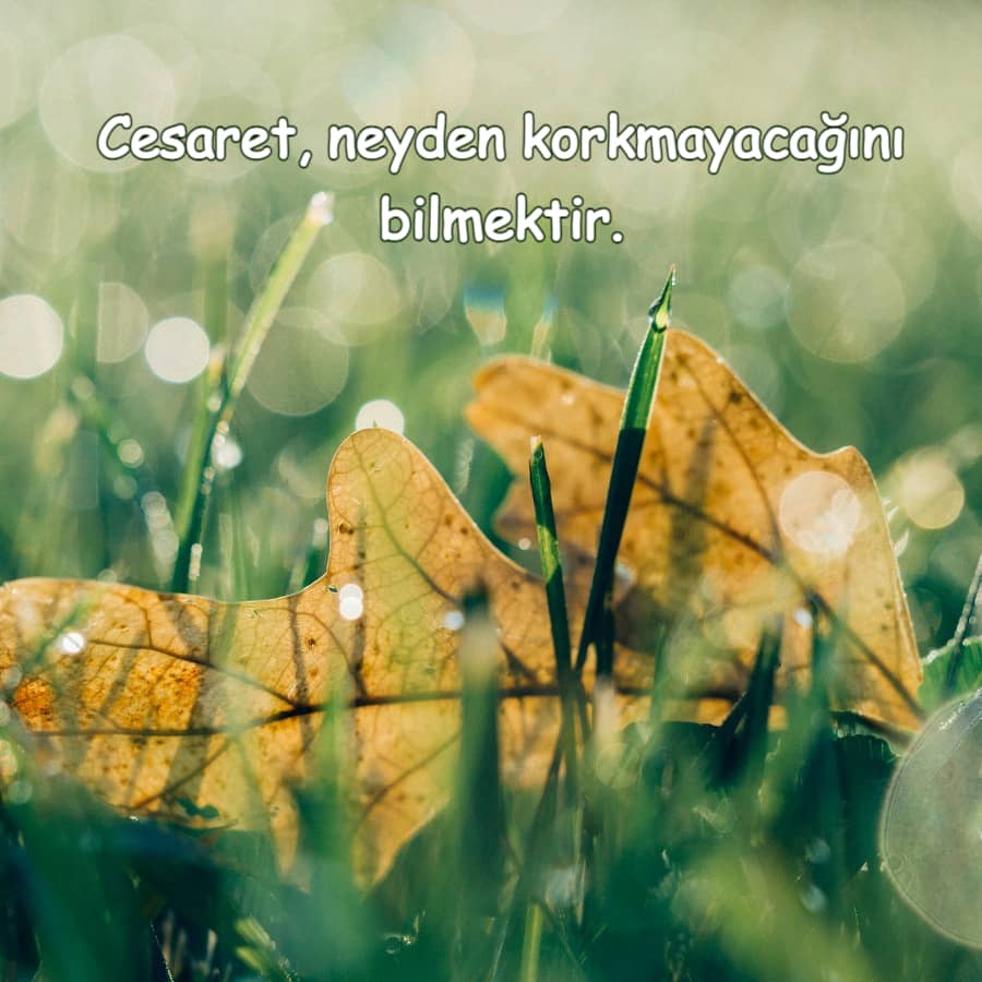 Hayat Anlamlı Sözler