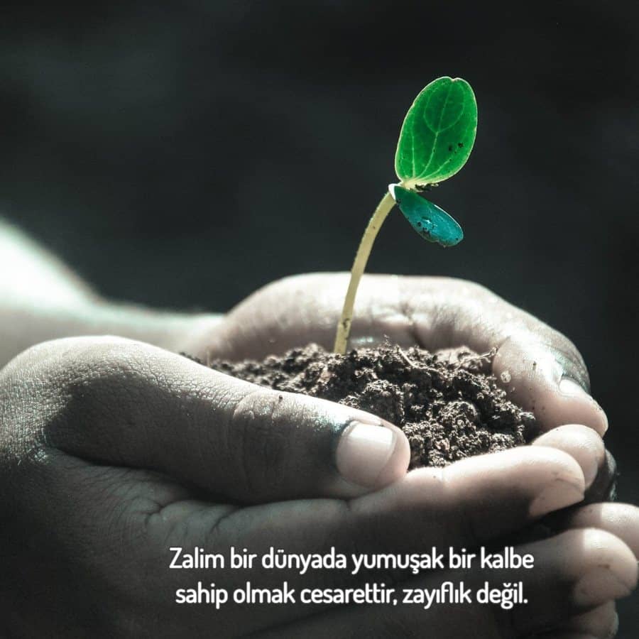 Hayat Bu Yüzden Güzel