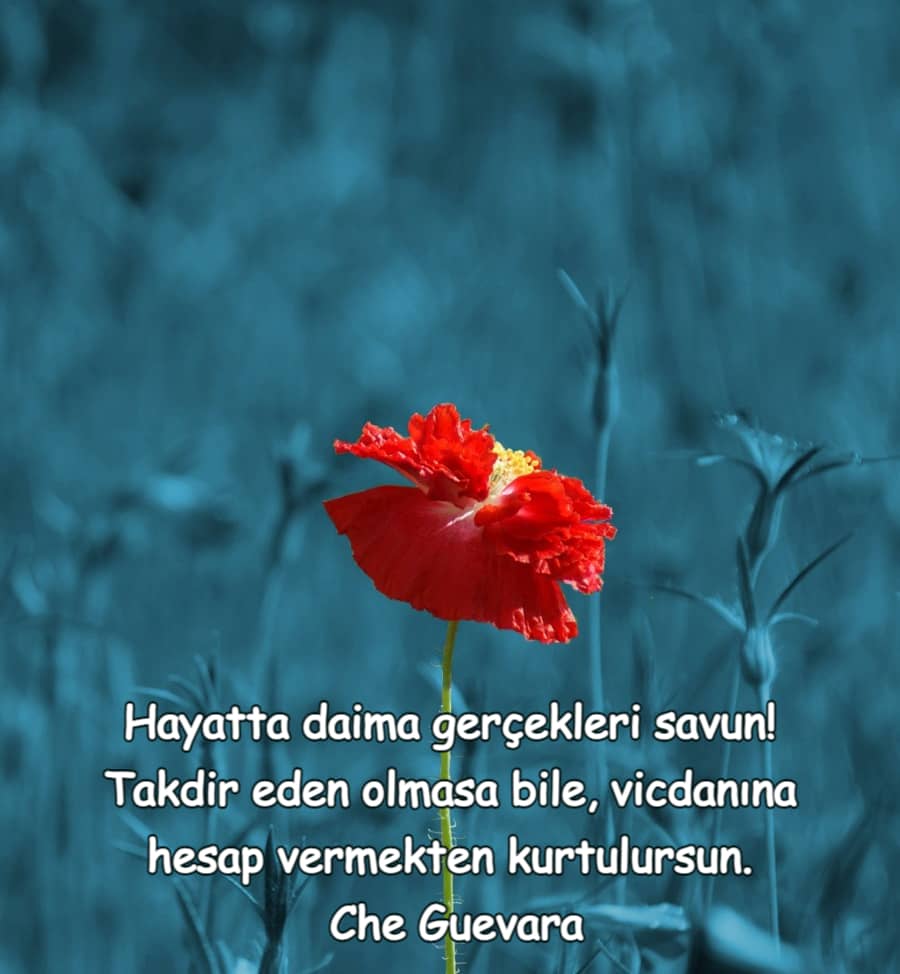 Hayat gerçekten çok