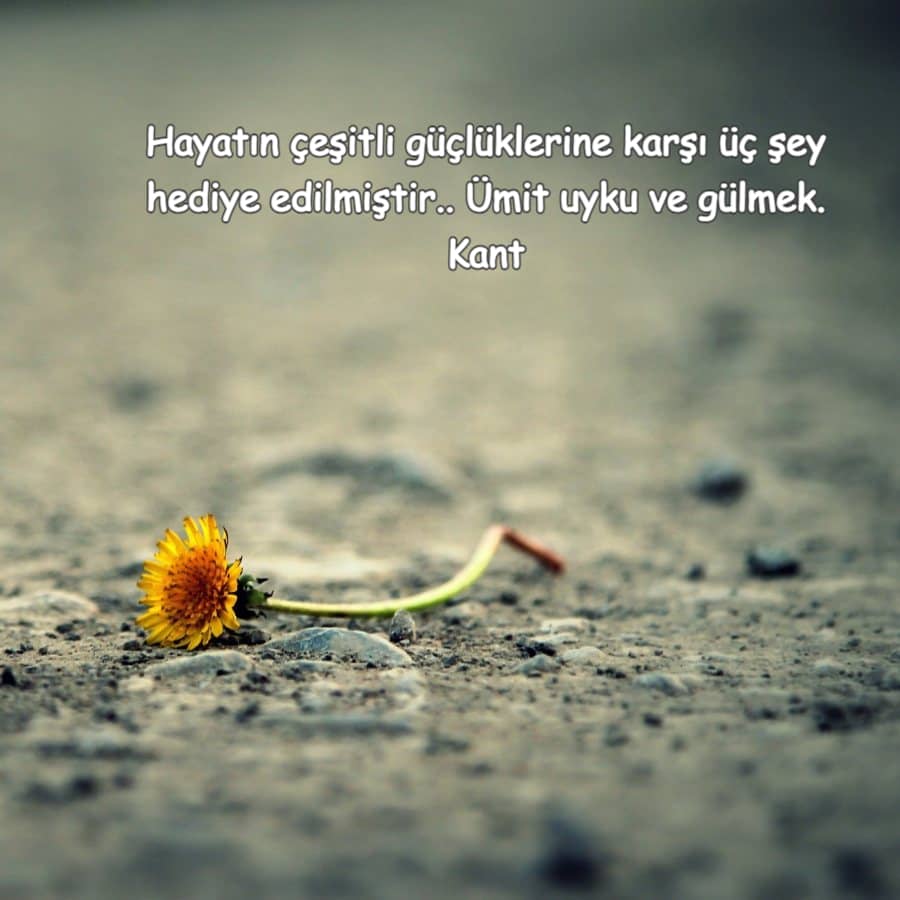 Hayat ile İlgili En Güzel Sözler
