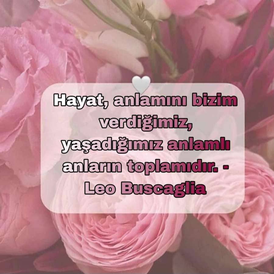 Hayat ile İlgili Müthiş Sözler