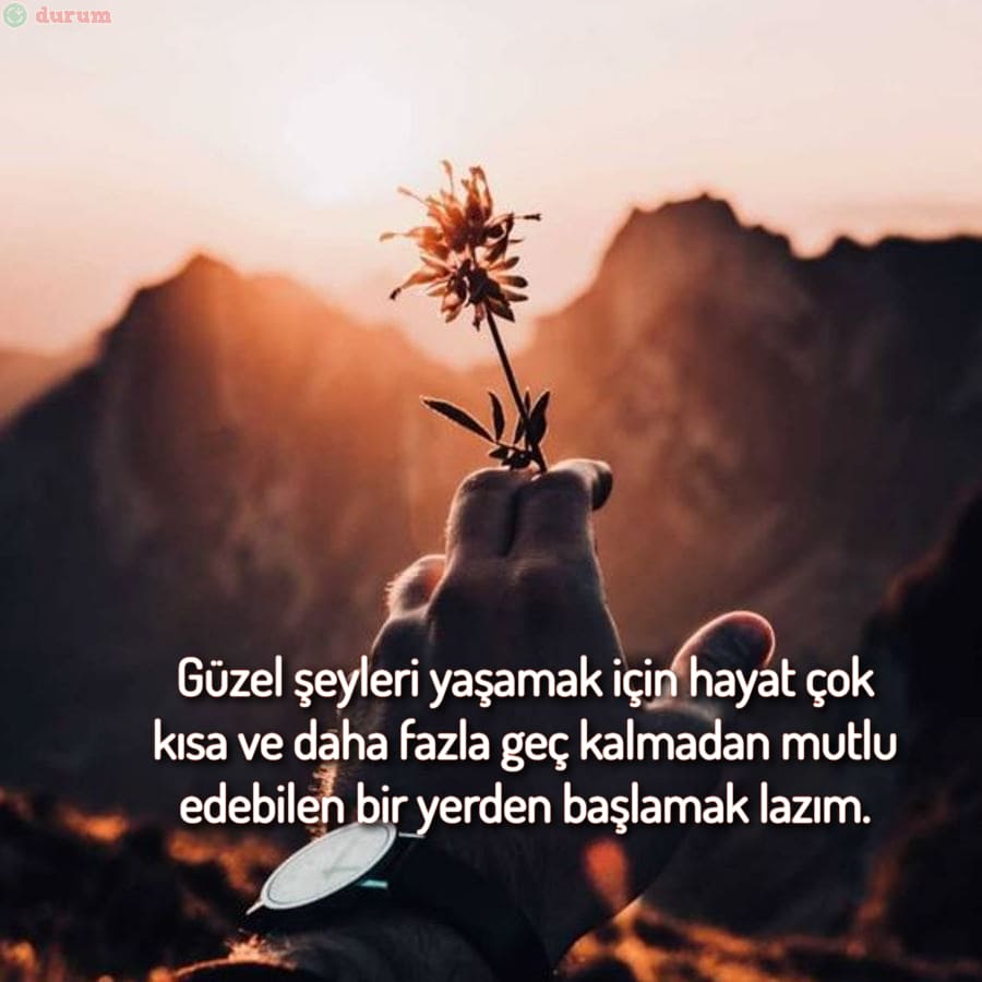 Hayat Sözleri