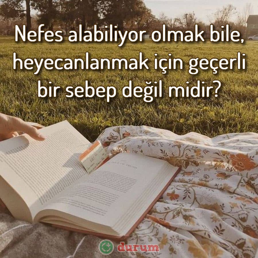 Heyecan Sözleri