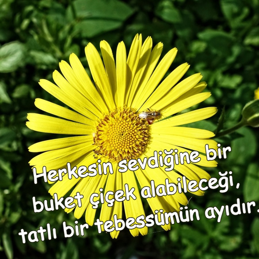 Hoş Geldin Güzel ay