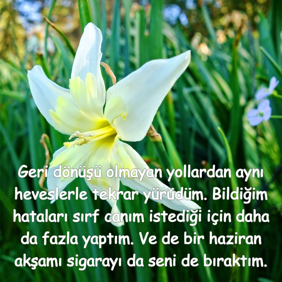 Hoş Geldin Haziran Whatsapp durum mesajları