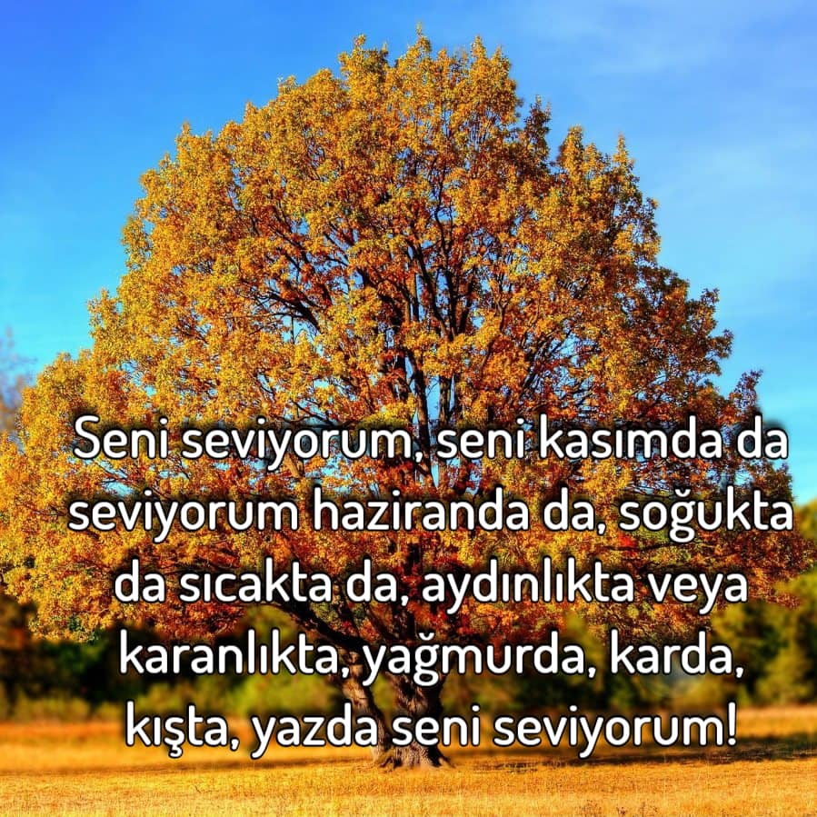 Hoş geldin Kasım Ayı