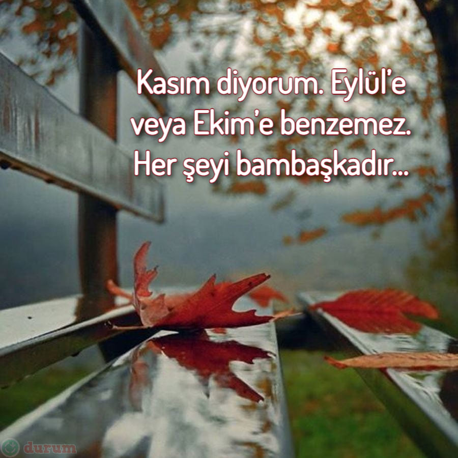 Hoş Geldin Kasım