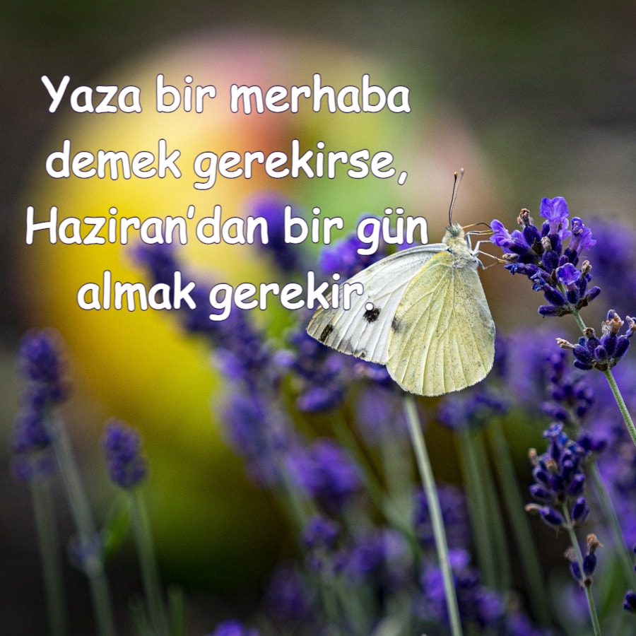 Hoş Geldin Yaz