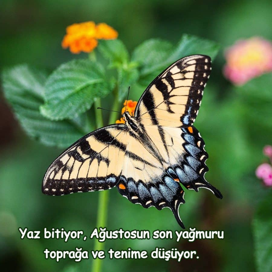 Hoşgeldin Ağustos Durum Mesajları
