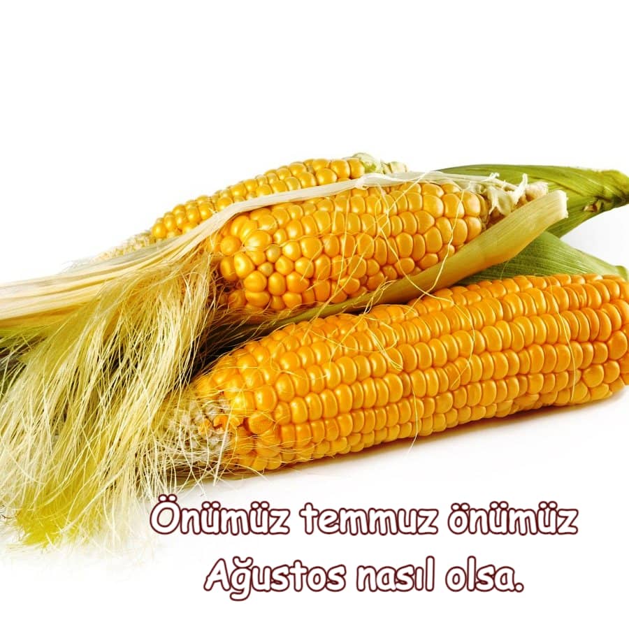 Hoşgeldin Ağustos Resim İndir