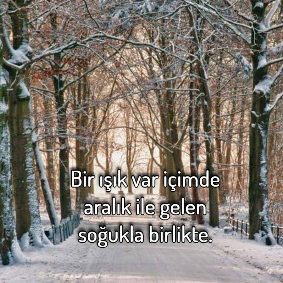 Hoşgeldin Aralık Mesajları