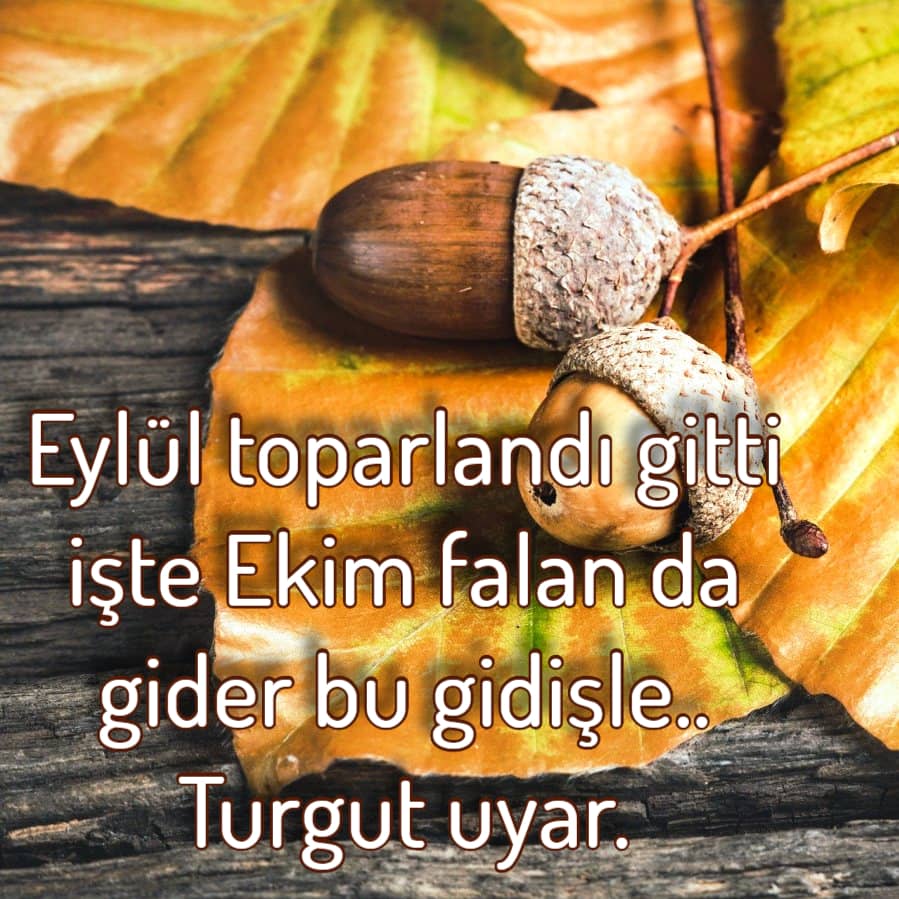hoşgeldin Ekim