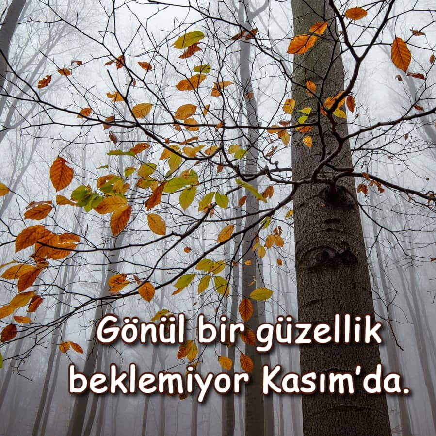 Hoşgeldin Kasım