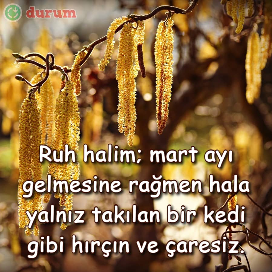 Hosgeldin mart sozleri