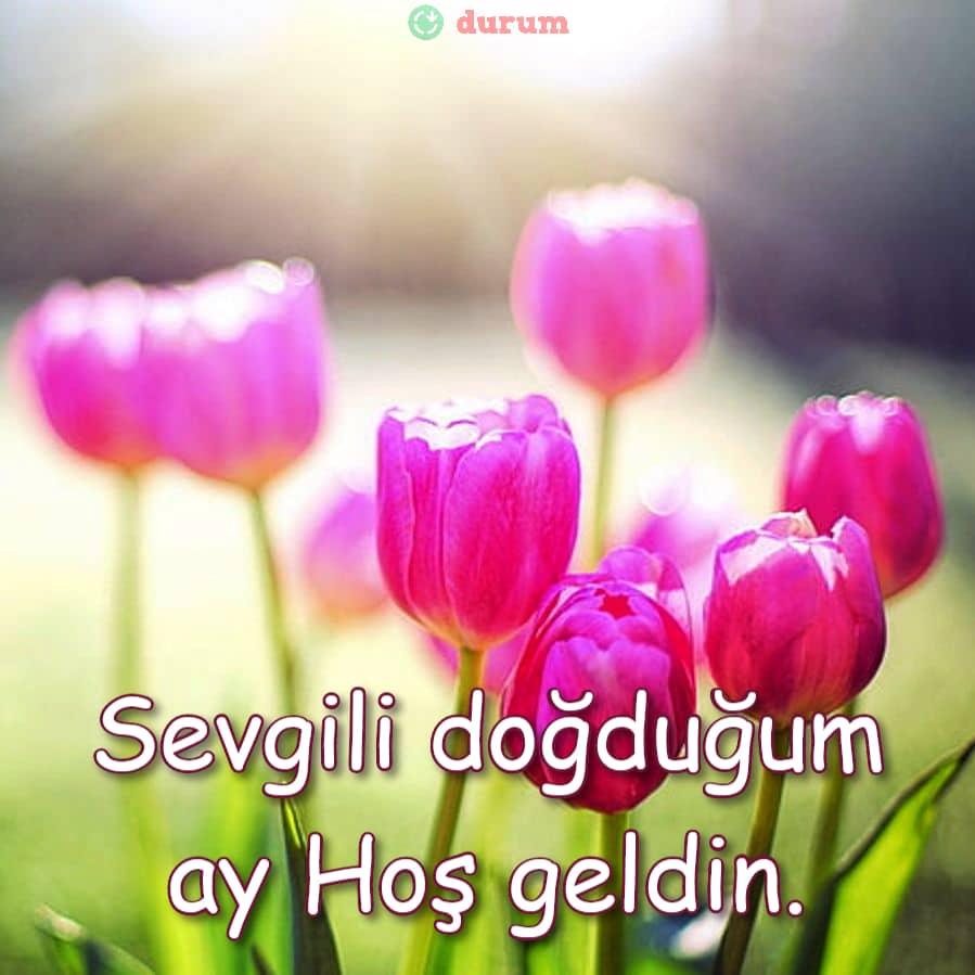 Hoşgeldin Mayıs sözleri