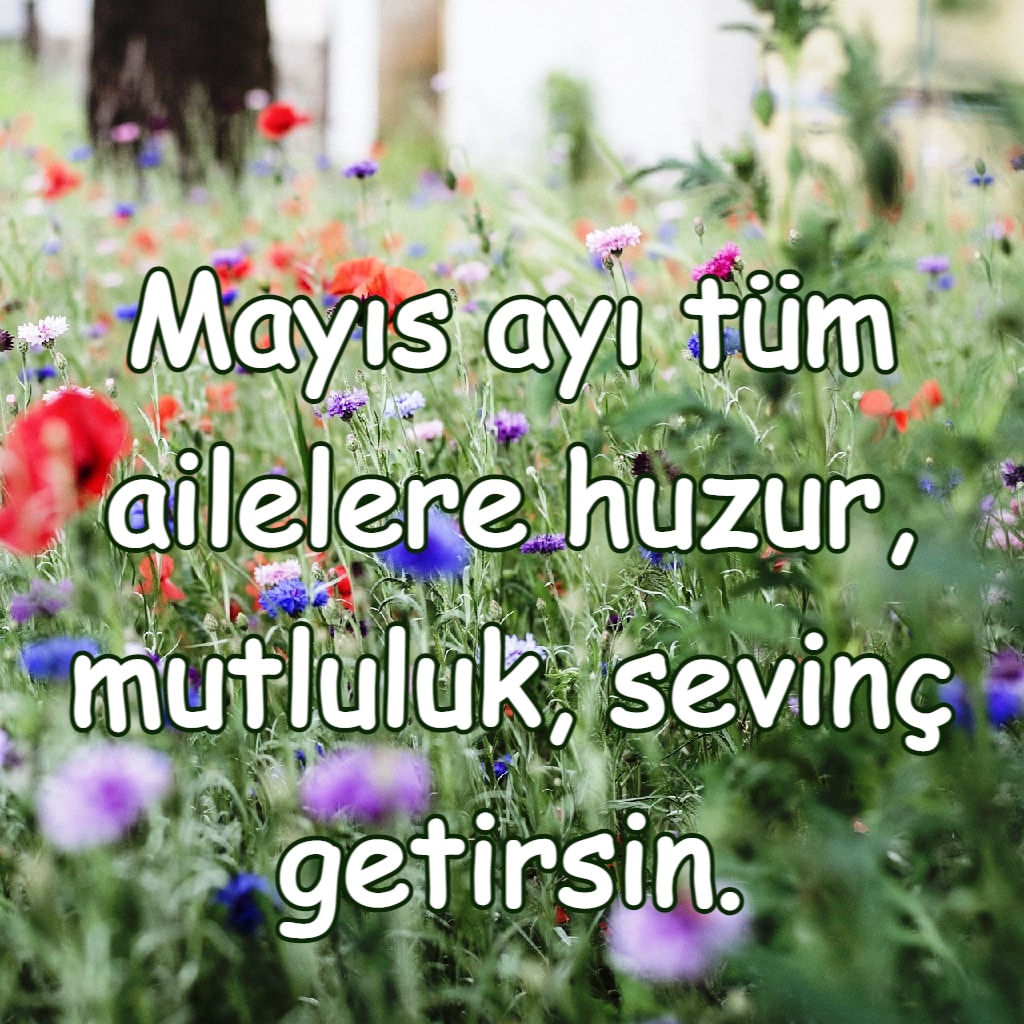 Hoşgeldin Mayıs