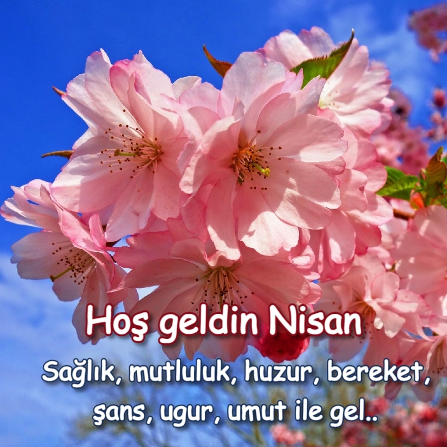 Hoşgeldin Nisan ayı
