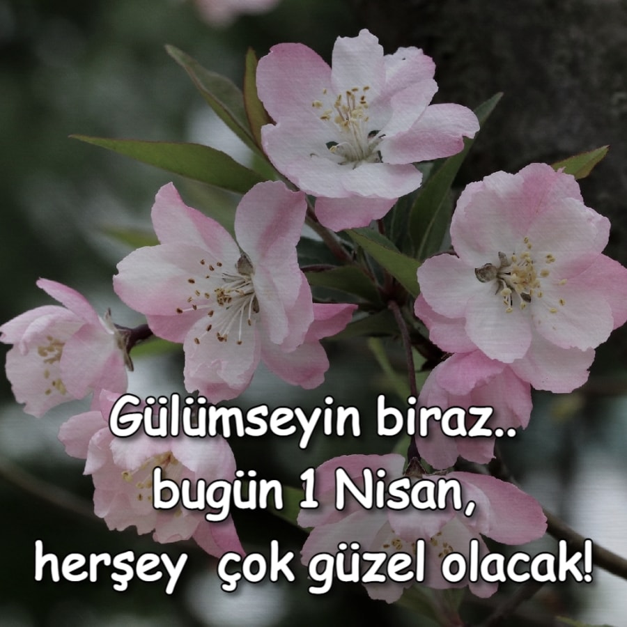 Hoşgeldin Nisan bahar