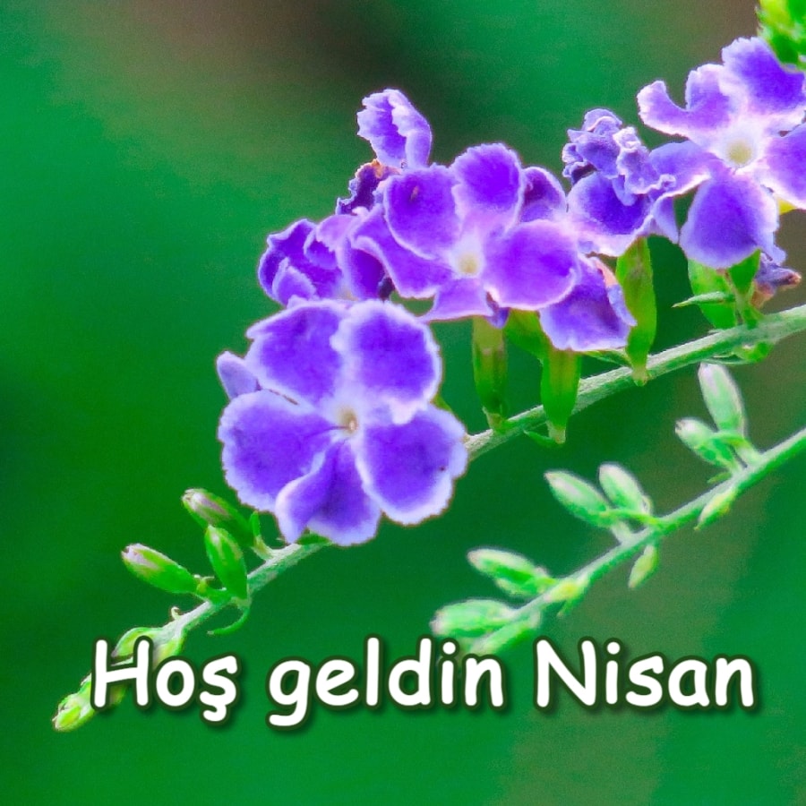 Hoşgeldin Nisan! Hoş geldin bahar!
