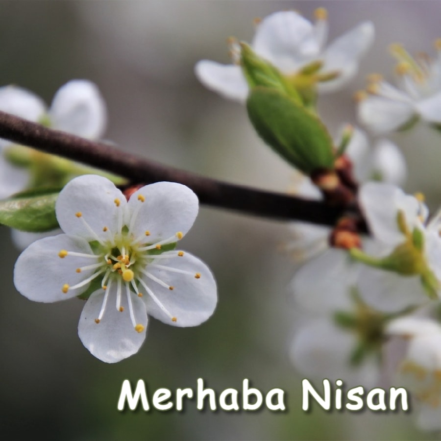 Hoşgeldin Nisan Huzur