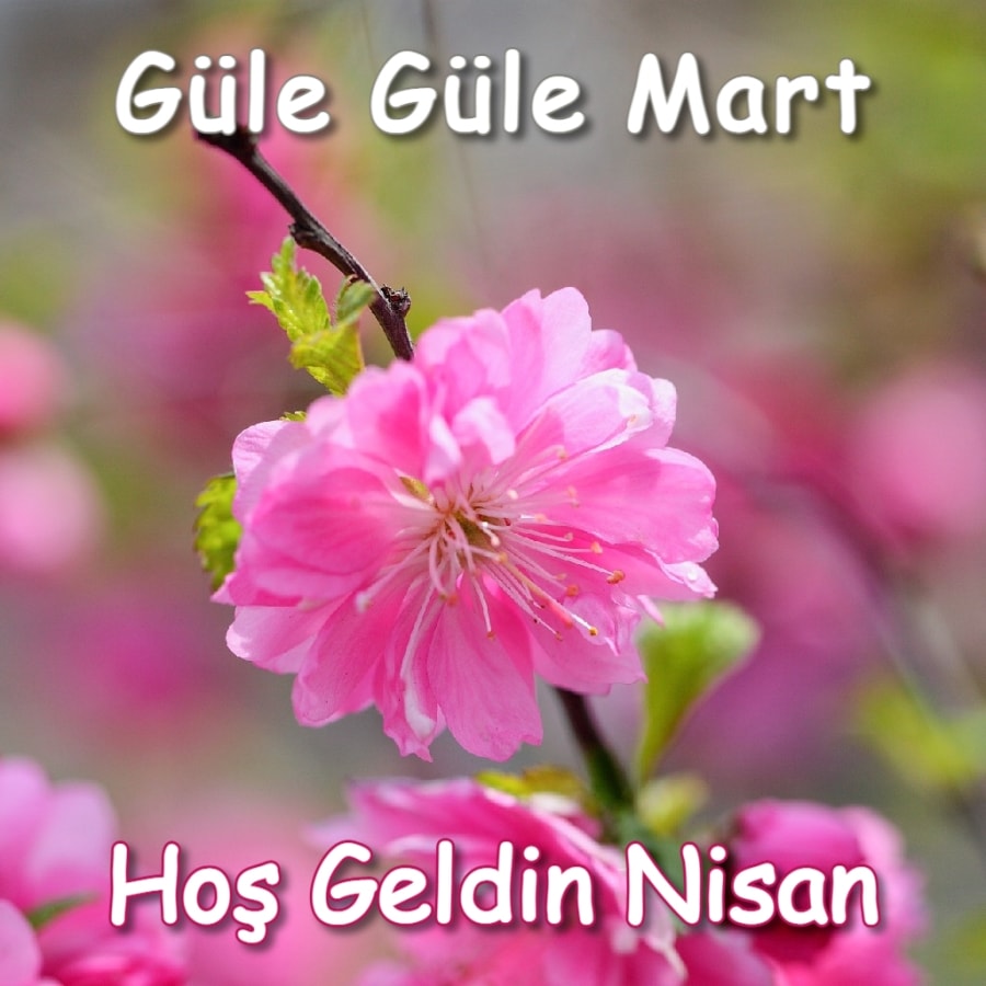 Hoşgeldin Nisan Whatsapp durum resimleri