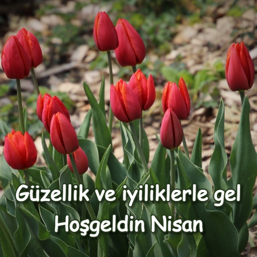 Hoşgeldin Nisan yazılı resim