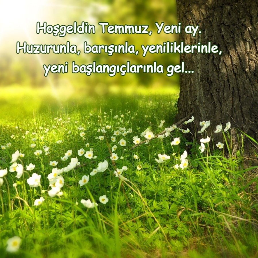 Hoşgeldin Temmuz
