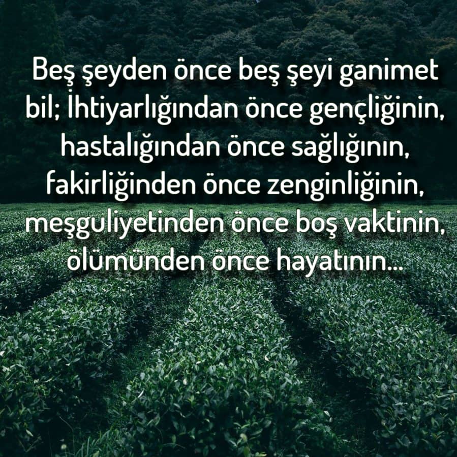 Hz. Muhammed ( s.a.v) Hadisleri