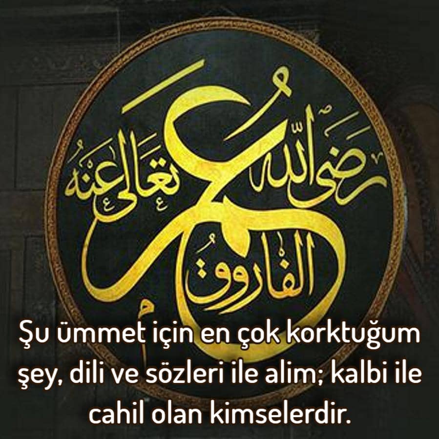 Hz. Ömer cahil insan sözleri