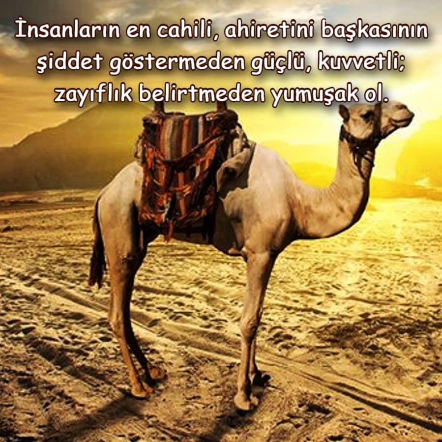 Hz. Ömer cahil insanla ilgili