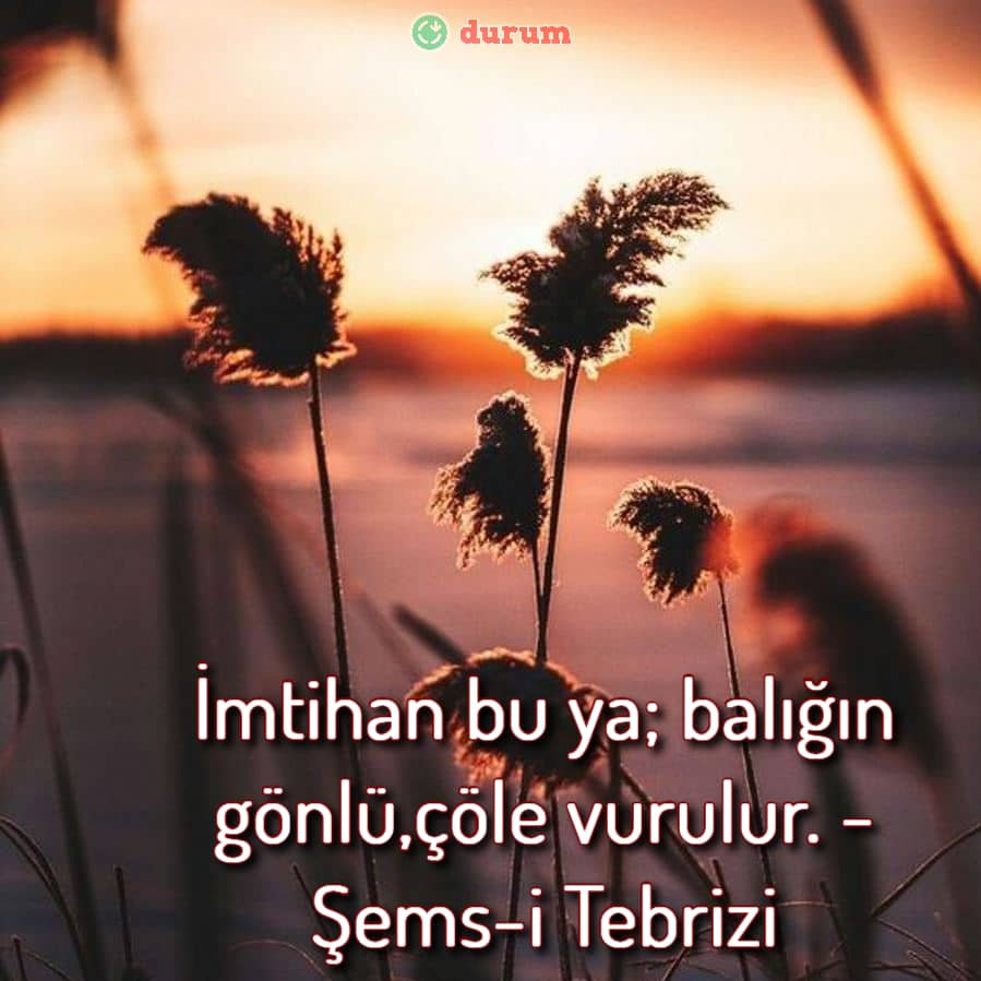 İmkansız Aşk Sözleri 2025