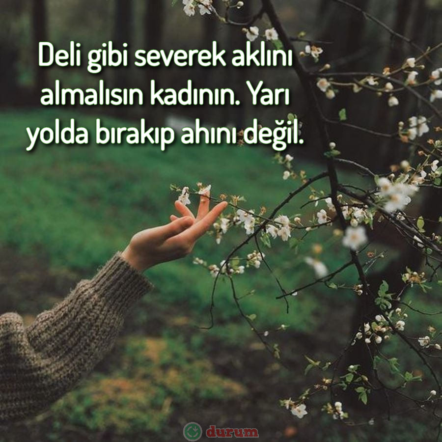 Instagram İçin Alıntılar indir