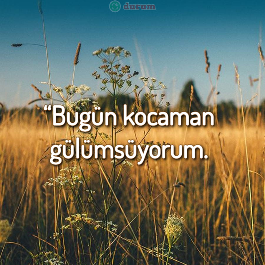 INSTAGRAM REELS için Altyazılar anlamli