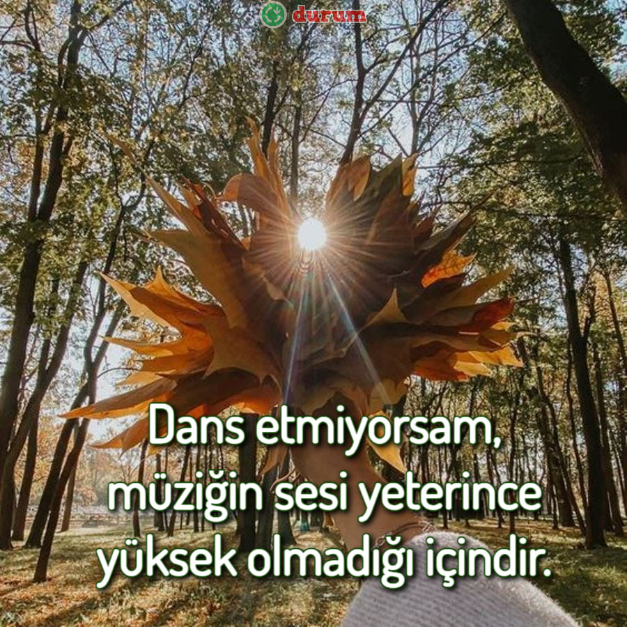 INSTAGRAM REELS için Altyazılar indir