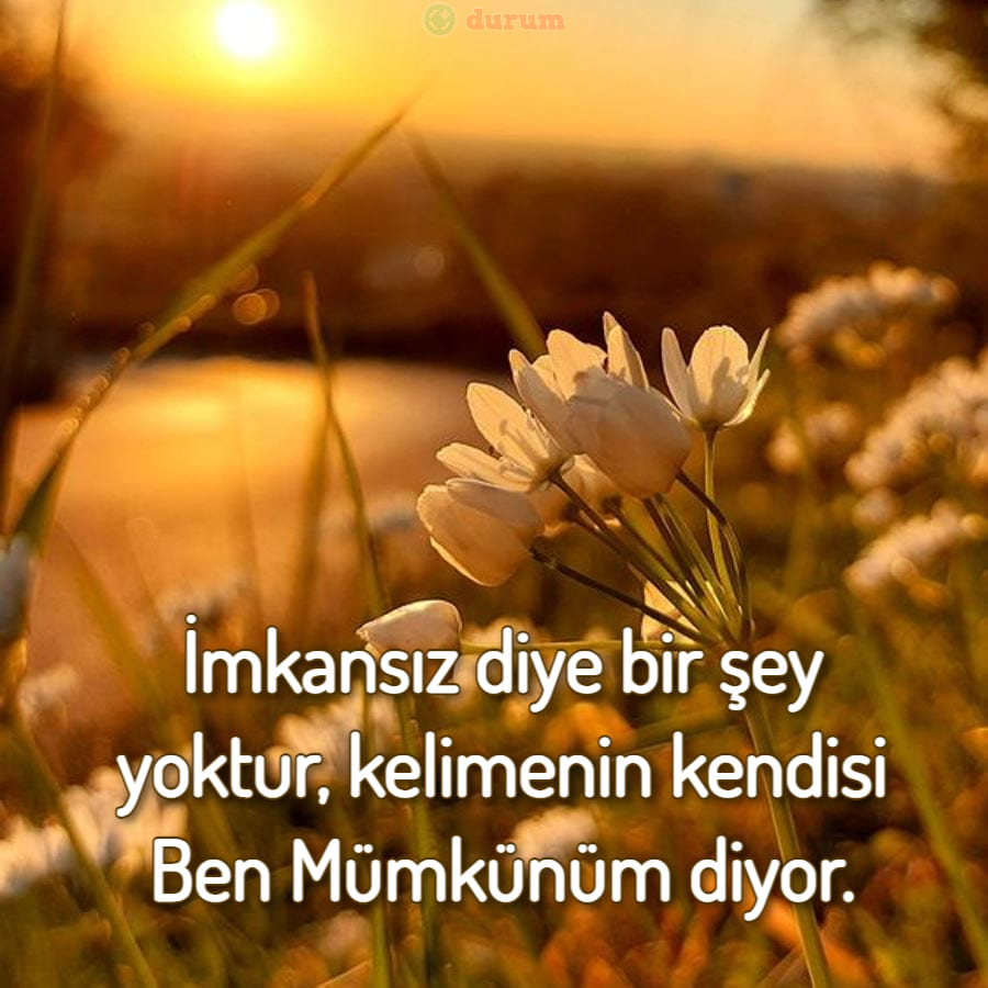 INSTAGRAM REELS için Altyazılar resimli