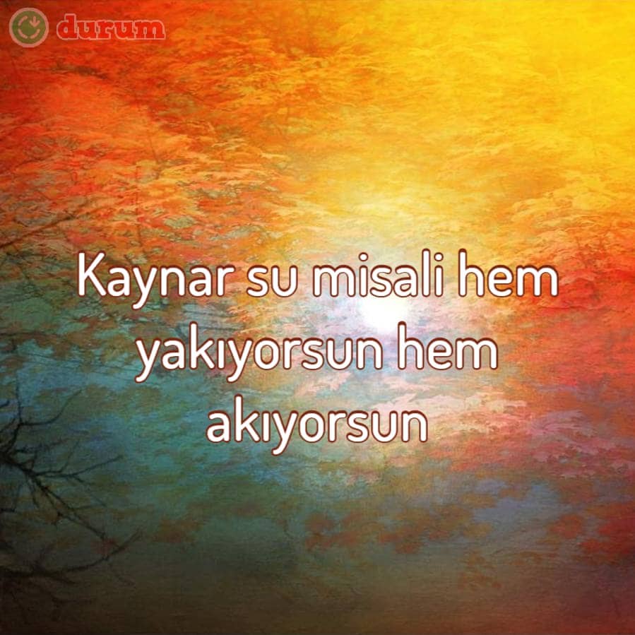 Instagram Yorumları indir