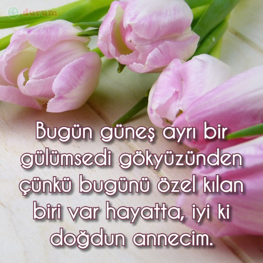 İyi ki doğdun annecim.