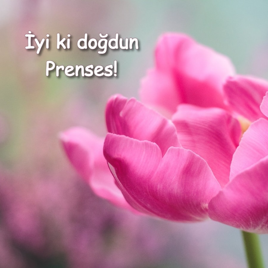 İyi ki doğdun prenses